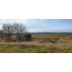 Maverick Blinds 6-Shooter Hunting Blinds - Clear, Green, 236