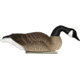 Mayhem Decoys by Heavy Hauler Outdoor Gear Canada goose floater, Fullbody EVA plastic decoy, Painted head, Canada goose, 0149CP