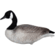 Mayhem Decoys by Heavy Hauler Outdoor Gear Canada Lesser Decoy, 6 Pack, Flocked Head, 0147CFL