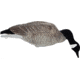 Mayhem Decoys by Heavy Hauler Outdoor Gear Canada Lesser Decoy, 6 Pack, Flocked Head, 0147CFL
