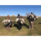 Mayhem Decoys by Heavy Hauler Outdoor Gear Canada Lesser Decoy, 6 Pack, Flocked Head, 0147CFL