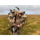 Mayhem Decoys by Heavy Hauler Outdoor Gear Canada Lesser Decoy, 6 Pack, Flocked Head, 0147CFL