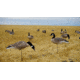 Mayhem Decoys by Heavy Hauler Outdoor Gear Canada Lesser Decoy, Flocked Head, 0147CFL