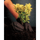 MCR Safety 7100 Brown Jersey Work Gloves, Clute Pattern with Knit Wrist, Cotton Polyester Blend, Brown, Large, 7100