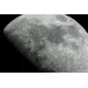 Meade 10 in LX200ACF Advanced Coma Free Telescope