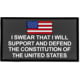 Merica Life Support and Defend the Constitution Patch
