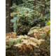 MIL-TEC All Purpose Ghillie