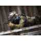 MIRA Safety CM-7M Military Gas Mask, Black, Small, CM7M1, EDEMO1