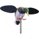 Mojo Baby Drake 2.0 Decoy, Mallard Drake, HW2566