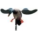 MOJO Baby Mallard Decoy