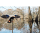 Mojo Elite Series Mini Mallard Hen Decoy