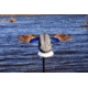 Mojo Es Mini Mallard Drake Decoy w/ Remote, Mallard, HW2487