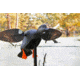 Mojo Gadwall Decoy, Elite Series, HW2473