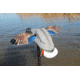 Mojo Mini Mallard Drake Decoy, Elite Series HW2470