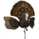 Mojo Scoot N Shoot Max Turkey Decoy