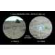 Monstrum Banshee ED 1-10x24mm LPVO 30mm Rifle Scope w/Offset Scope Mount, Second Focal Plane