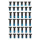 Monstrum 6-48 Gunsmithing Screw Pack