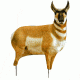 antelope buck decoy, brown