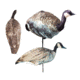 canada goose combo decoy, brown/white