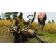Montana Decoy Co. Backcountry Elk Decoy