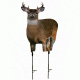 Montana Decoy Co. AC Deer  Plot Pack, NSN N, 70