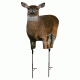Montana Decoy Co. AC Deer  Plot Pack, NSN N, 70