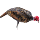 Montana Decoy Co. Montana Decoy Turkey Jake Purr-fect Xd