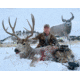 Montana Decoy Co. Muley Buck Decoy