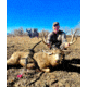 Montana Decoy Co. Muley Buck Decoy
