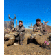 Montana Decoy Co. Muley Buck Decoy