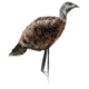 Montana Decoy Co. Purr-Fect Pair XD Decoy Combo