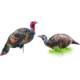 Montana Decoy Co. Purr-Fect Pair XD Decoy Combo