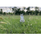 Montana Decoy Co. Sitting Coyote Decoy