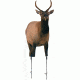 Montana Decoy Co. Spike  Elk, NSN N, 68