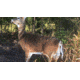 Montana Decoy Co. Teaser Tail  Decoy, NSN N 74