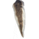 Montana Decoy Co. Teaser Tail  Decoy, NSN N 74