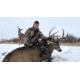 Montana Decoy Co. Trixie Whitetail Doe Decoy