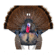 Montana Decoy Co. Wiley Tom 0077