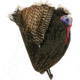 Montana Decoy Co. Wiley Tom 3D Turkey Decoy
