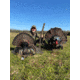 Montana Decoy Co. Wiley Tom 3D Turkey Decoy