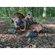 Montana Decoy Co. Wiley Tom 3D Turkey Decoy, Multi, 44