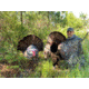 Montana Decoy Co. Wiley Tom 3D Turkey Decoy
