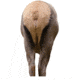 elk rump decoy, brown