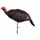 jake purr-fect turkey decoy, brown