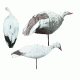 snow goose combo decoy, white