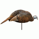 turkey dinner belle decoy, brown