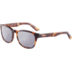 Morgan 207181 Sunglasses, Brown Havana Frame, Grey Silver Lens, 207181-4103