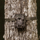 Moultrie A-900i Trail Camera Bundle, MCG-14002
