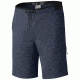 Mountain Hardwear AP Scrambler Short - Men's-Zinc-32 Waist