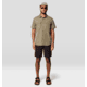 Mountain Hardwear Canyon Short Sleeve - Mens, Stone Green, M, 190423042845
